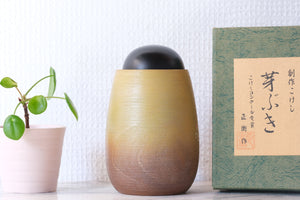 Rare Vintage Kokeshi by Masae Fujikawa 藤川正衛 (1942-2015) | Titled: 芽ぶき - Mebuki - Budding | With Original Box | 13 cm